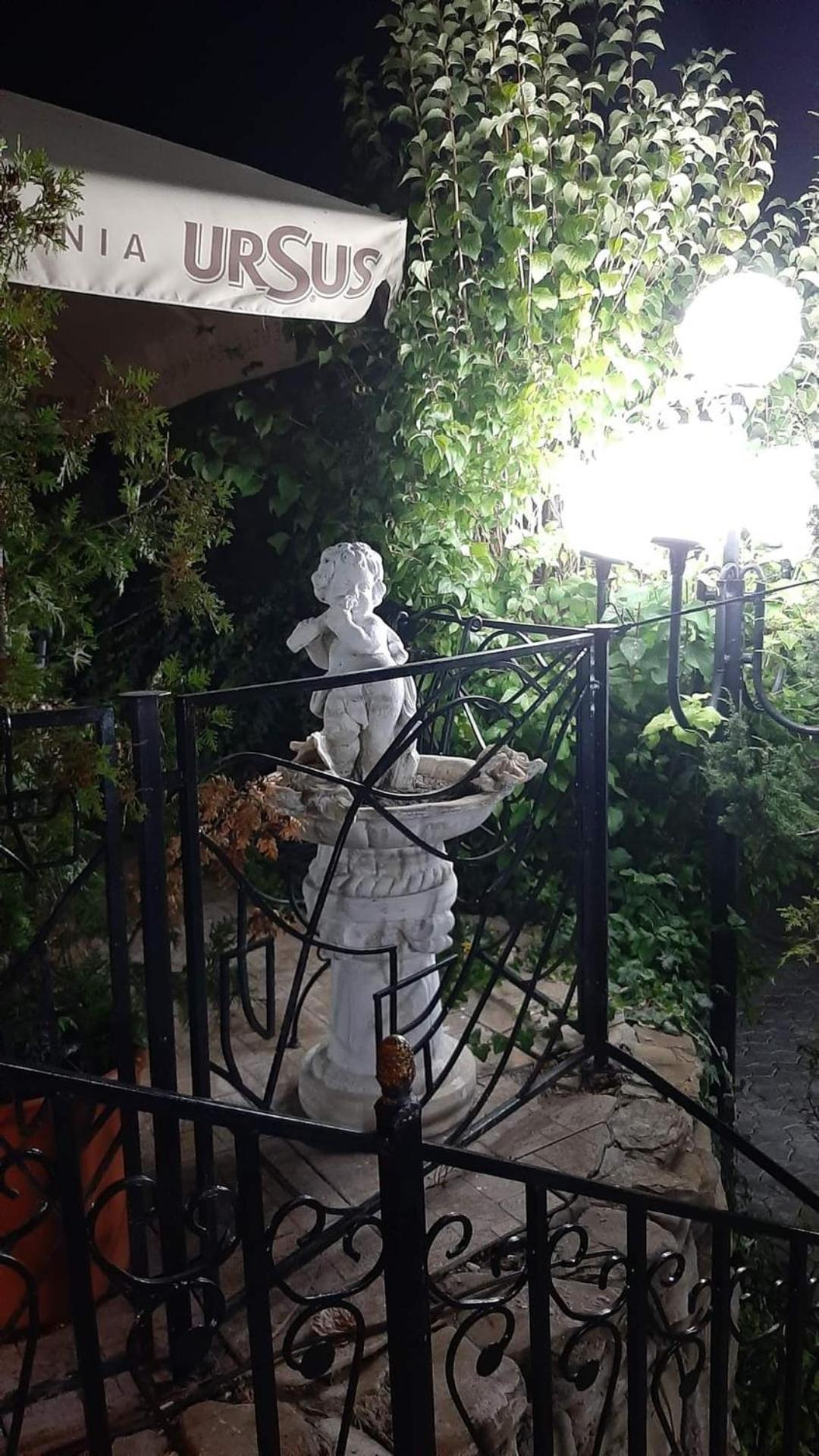 Отель Casa Boiereasca Яссы Экстерьер фото